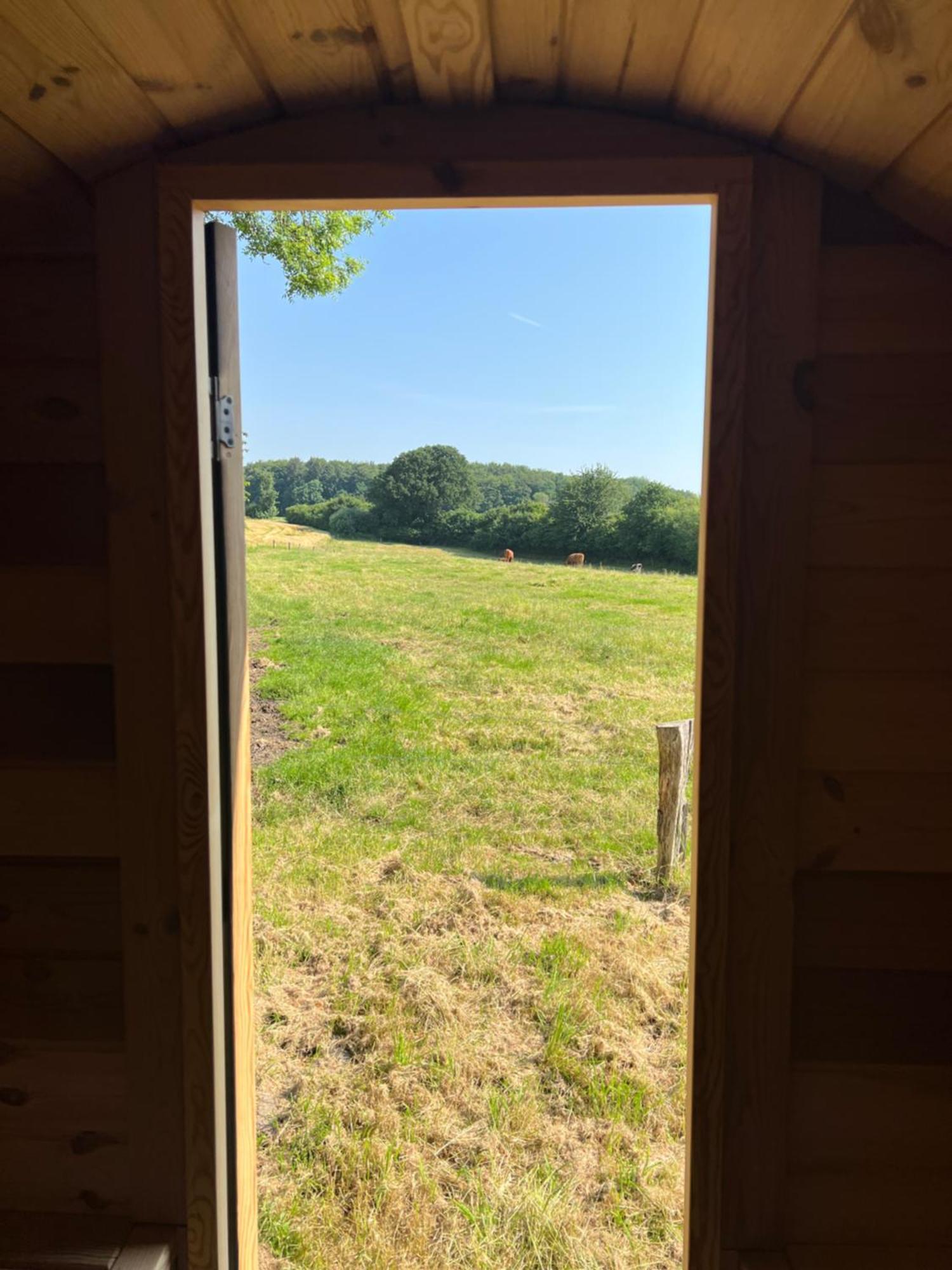 شقة Hof Osterfeld Mittelangeln المظهر الخارجي الصورة
